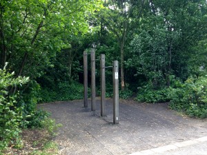 Pad Rec Pull Up Bars personal trainer Maida vale