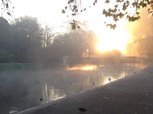 IMG_1642