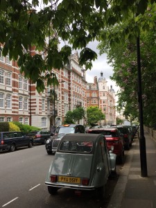 Personal Trainer St Johns Wood
