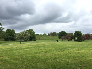 Primrose Hill