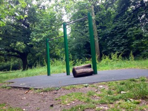 Pull Up Bars personal training queens park
